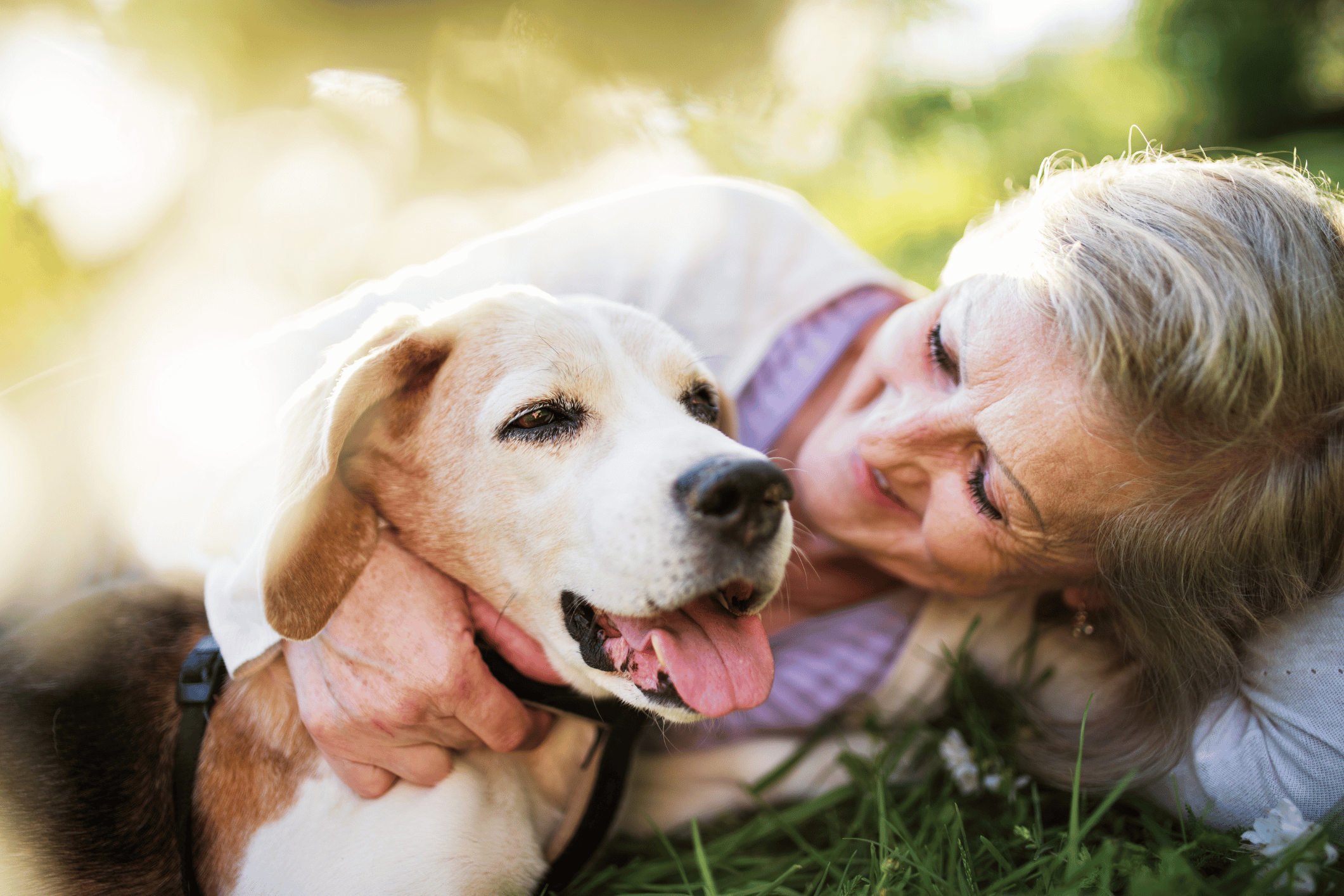 From Pet Care to Customer Care: Finding Common Ground With Our Community